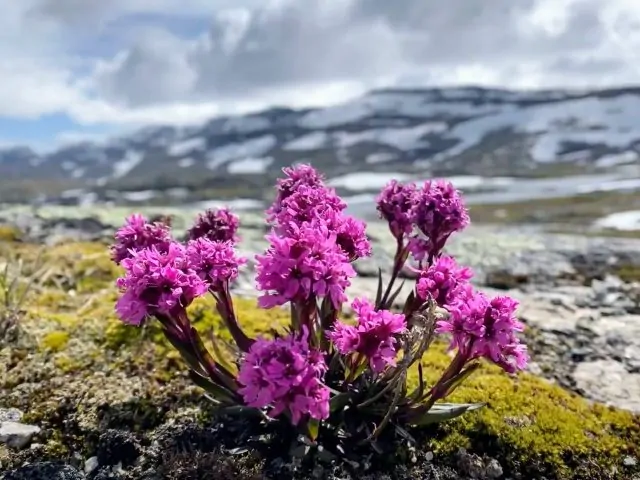 oslo_bergen_mountain_route_rallarvegen_blomst_norway_by_bike